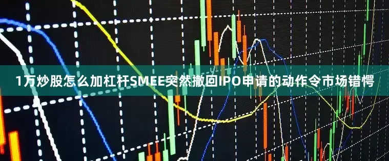 1万炒股怎么加杠杆SMEE突然撤回IPO申请的动作令市场错愕