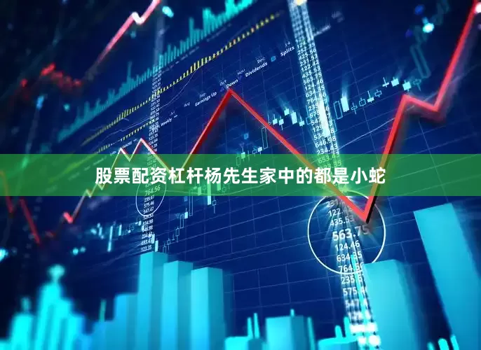 股票配资杠杆杨先生家中的都是小蛇