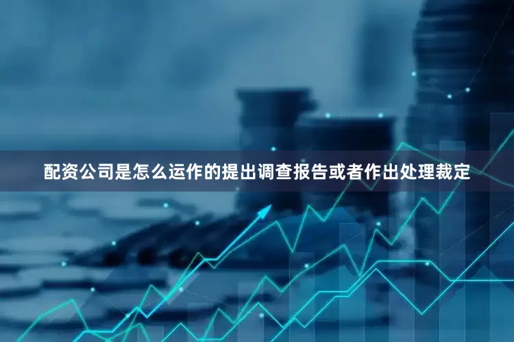 配资公司是怎么运作的提出调查报告或者作出处理裁定